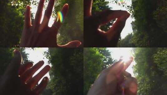 【合集】树林里阳光穿过手指缝，逆光唯美高清在线视频素材下载