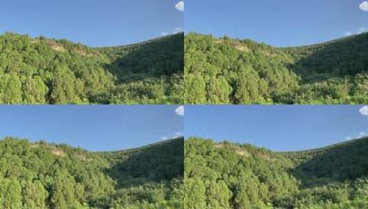 济南龙洞风景区，粉黛乱子草花海秋景迷人高清在线视频素材下载