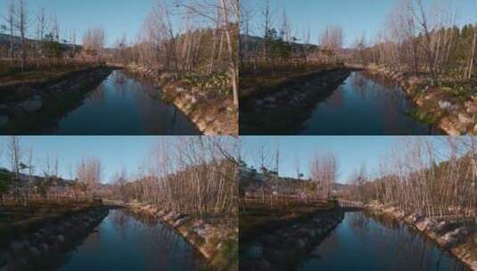 冬季小河边枯树清澈河水昆明入滇河道高清在线视频素材下载