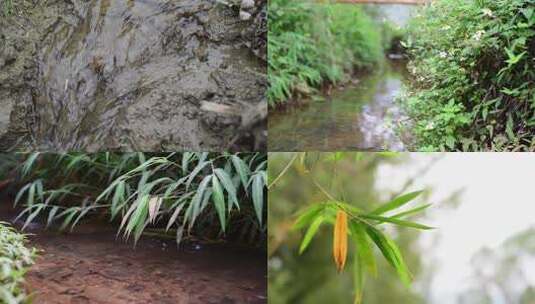 【原始素材】长满草的小溪高清在线视频素材下载