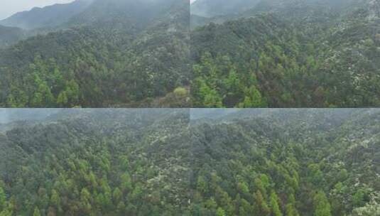 烟雨云雾缥缈的大山高清在线视频素材下载