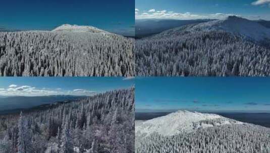 雪景森林山顶雪松山峰唯美自然风景高清在线视频素材下载