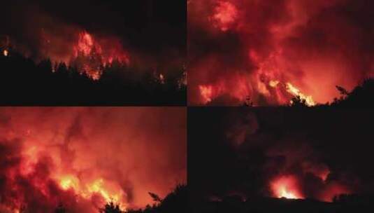 森林着火森林大火浓烟滚滚燃烧高清在线视频素材下载
