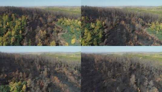 航拍森林火灾、自然灾害高清在线视频素材下载