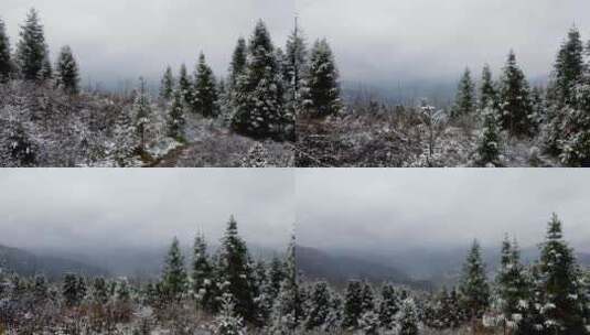 乌蒙山雪景高清在线视频素材下载