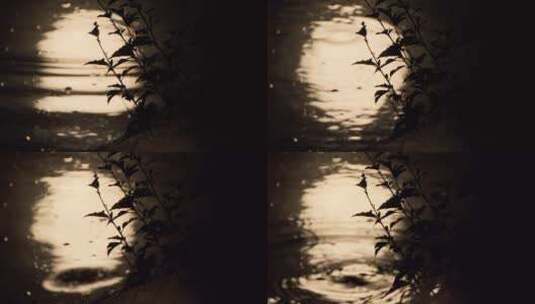 夜晚水中月倒影月亮月球唯美高清在线视频素材下载