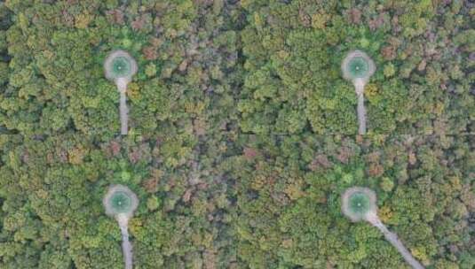 4K 航拍秋天南京钟山风景区的灵谷寺景区高清在线视频素材下载