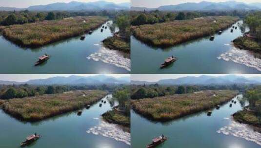 杭州西溪湿地秋意浓航拍高清在线视频素材下载