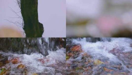 杭州植物园小溪小河流水风景视频素材高清在线视频素材下载