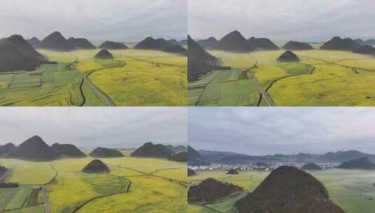 航拍油菜花海罗田云南春天蓝天白云风景景区高清在线视频素材下载