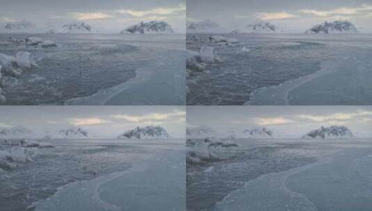 南极洲巴布亚企鹅殖民地上岸天线高清在线视频素材下载