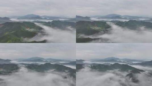 广西柳州万亩茶园清晨雾天航拍高清在线视频素材下载
