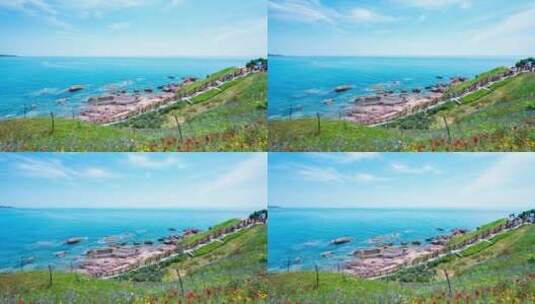 青岛夏天燕岛山鲜花与大海高清在线视频素材下载