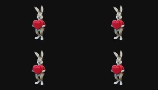 兔子奥利弗和心脏高清在线视频素材下载