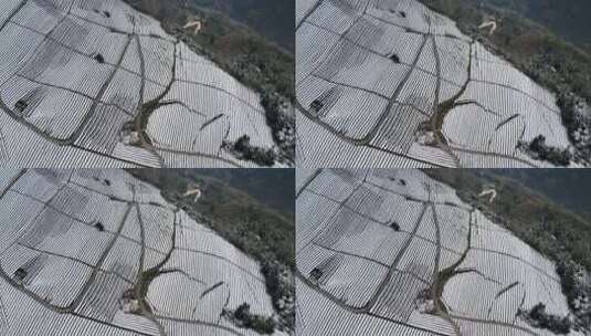 大自然寒潮冬天下雪的村庄田野航拍风景高清在线视频素材下载