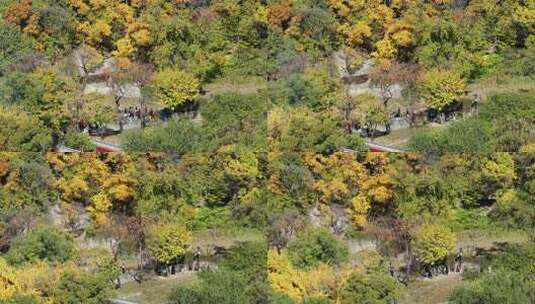 秋天的灵岩寺高清在线视频素材下载