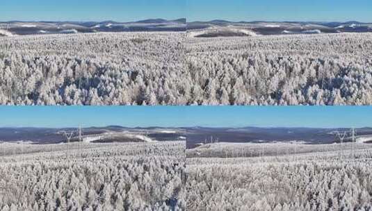 穿越大兴安岭林海雪原雪森林的输电线路1530高清在线视频素材下载