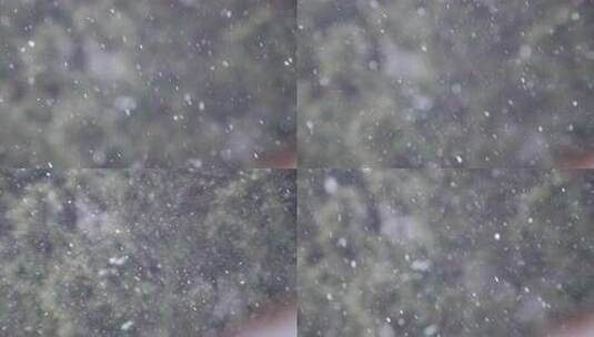 背景虚化的雪花飘落实拍镜头高清在线视频素材下载