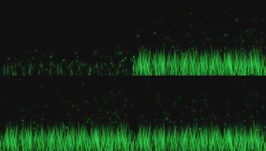 粒子草生长高清AE视频素材下载