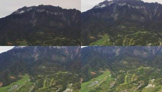 高山草原云层奶牛枚场草丛绿地高清在线视频素材下载