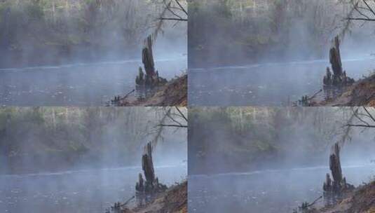 沼泽地升起的雾高清在线视频素材下载
