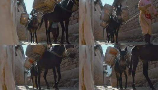 马帮慢镜头视频中国西南农村驮货物的马匹高清在线视频素材下载
