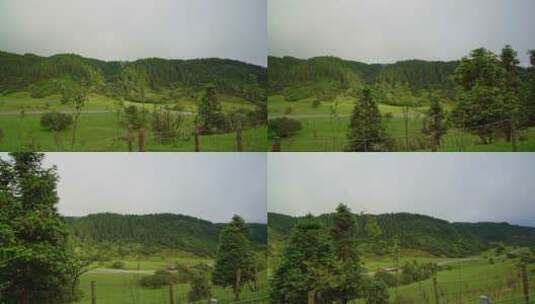 重庆武隆仙女山云上草原自然生态高清在线视频素材下载