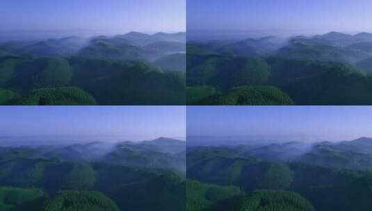 岭南丘陵连绵群山绿色山林清晨航拍全景风光高清在线视频素材下载