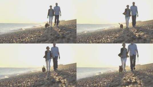 带着宠物在海边游玩的情侣高清在线视频素材下载