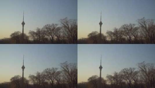 北京玉渊潭公园中央电视塔景色高清在线视频素材下载