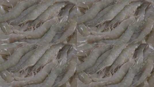 一堆鲜活的海虾LOG高清在线视频素材下载