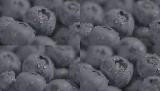 蓝莓影棚拍摄LOG高清在线视频素材下载