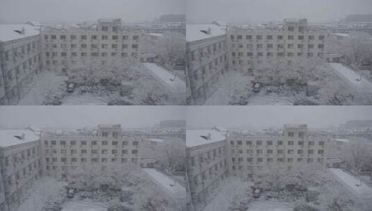 雪景 冬天雪景 大雪纷飞高清在线视频素材下载