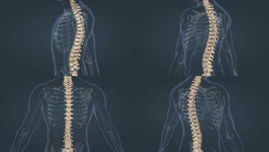 医学 人体 骨骼 骨架 脊椎 脊柱 颈椎 疾病高清在线视频素材下载