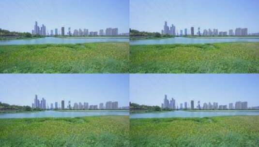 武汉杨春湖城市生态公园风景高清在线视频素材下载