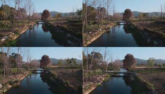 冬季小河边枯树清澈河水昆明入滇河道小桥高清在线视频素材下载