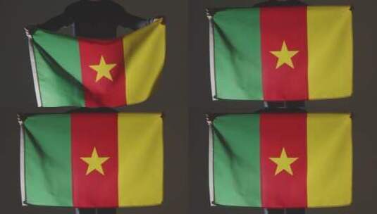 工作室拍摄的手持喀麦隆国旗的人高清在线视频素材下载
