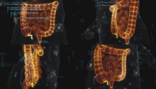 三维人体身体器官机能透视大肠小肠动画展示高清在线视频素材下载