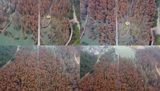 杭州青山湖水上森林航拍高清在线视频素材下载