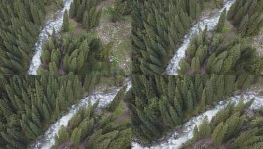 航拍新疆伊犁乌孙古道河流雪山森林绝美风光高清在线视频素材下载