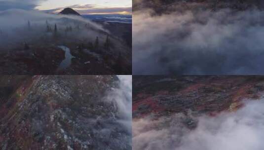 冬季云雾森林植被唯美航拍高清在线视频素材下载