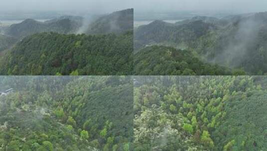 烟雨云雾缥缈的大山高清在线视频素材下载