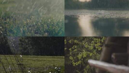 雨水滴滴水大自然水滴树叶下雨滴草坪雨天高清在线视频素材下载