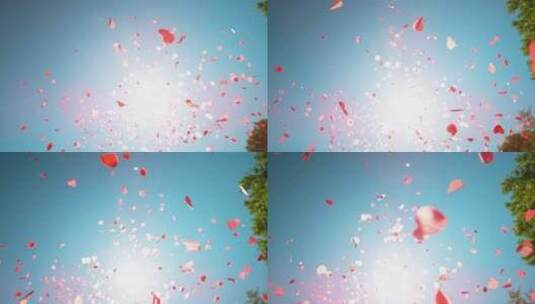 节日花瓣在空中飞舞慢动作高清在线视频素材下载