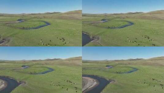 航拍草原牧场羊群马群高清在线视频素材下载