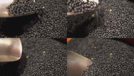 黑豆豆子豆类豆优质黑豆高清在线视频素材下载