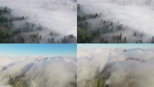 云海大气云海云海航拍云海风光高山云雾高清在线视频素材下载