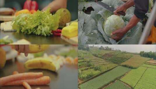 新鲜有机绿色果蔬农产品宣传视频素材高清在线视频素材下载