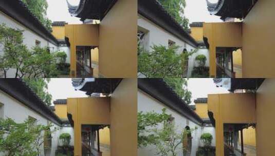 古建筑下雨素材苏州北寺塔实拍高清在线视频素材下载