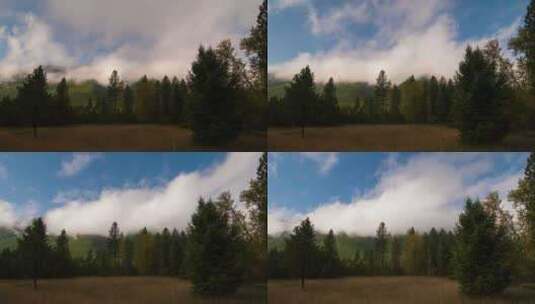 延时拍摄森林的蓝天白云高清在线视频素材下载